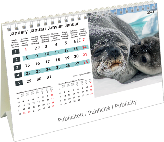 Desk calendar 2024 Wildlife