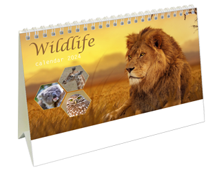 Desk calendar 2024 Wildlife
