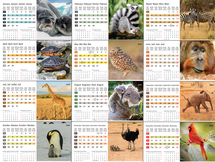 Desk calendar 2024 Wildlife 13p 21x15cm Images