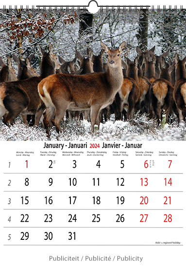 Wall calendar 2024 Animals 13p A4 A3