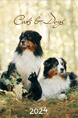 Wall calendar 2024 Cats & Dogs 13p 30x47cm Cover