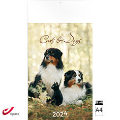 Wall calendar 2024 Cats & Dogs 22 x 41