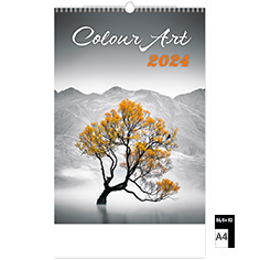 Wall calendar Deco 2024 Colour Art