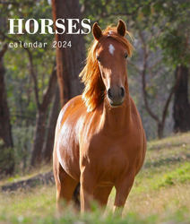 Wall calendar 2024 Horses 13p A4 A3 Cover