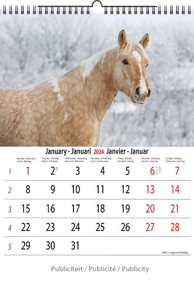 Wall calendar 2024 Horses 13p A4 A3