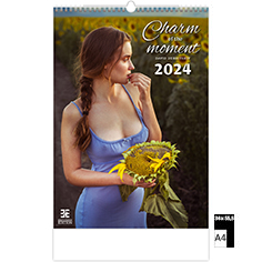 Wall calendar 2024 Pin-Up Charm of the Moment