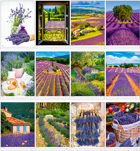 Wall calendar 2024 Provence 13p 31x52cm Images
