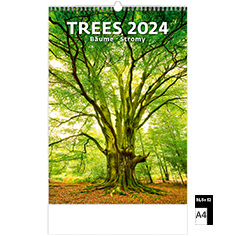 Wall calendar Deco 2024 Trees
